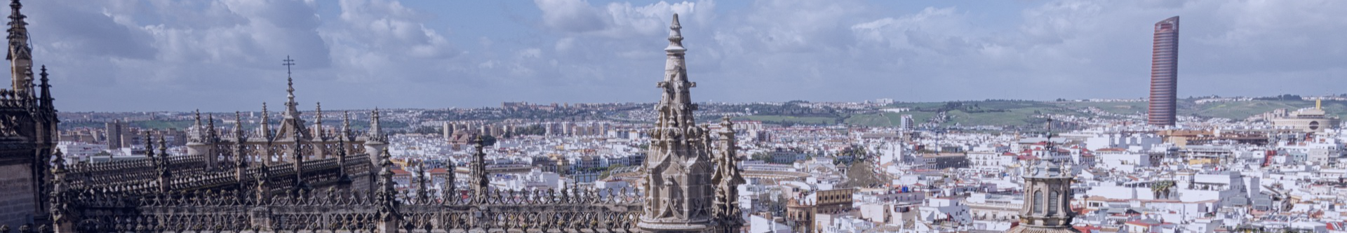 View of the skyline from a high point of Seville